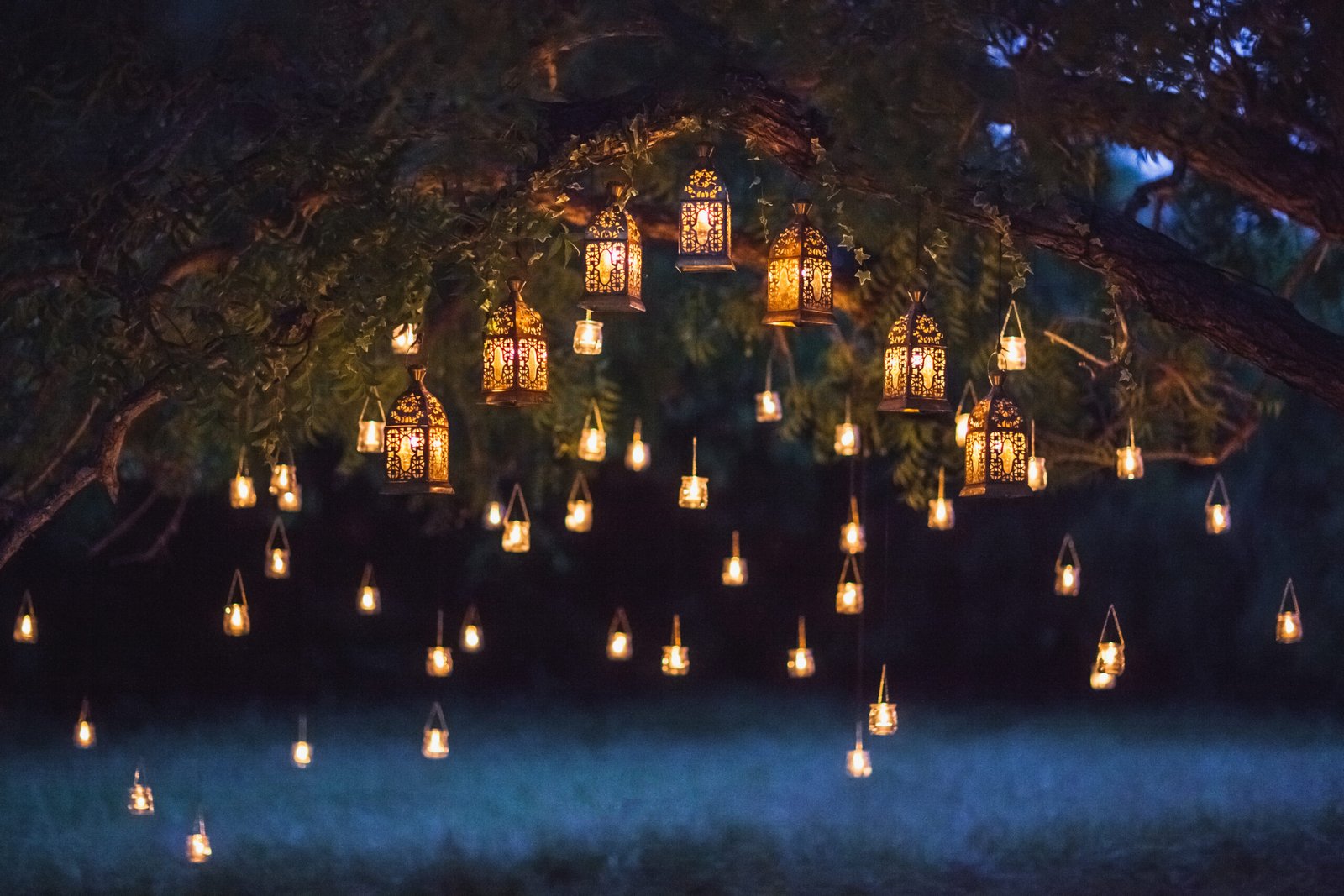Lights of Remembrance Ceremony