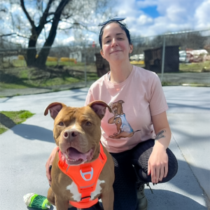 A smiling person kneels beside a cheerful brown and white dog wearing a bright orange harness. The person wears a T-shirt with a dog print, set in a sunny outdoor area.
