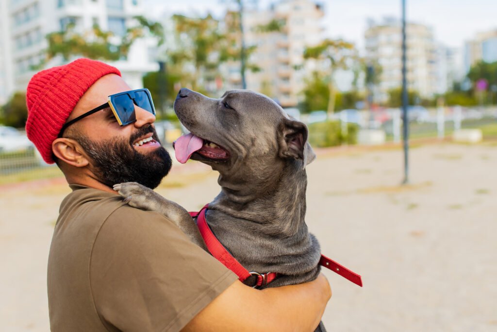 portrait of happy man in red hat and sunglasses with american terrier in dogs walking area park in sity .