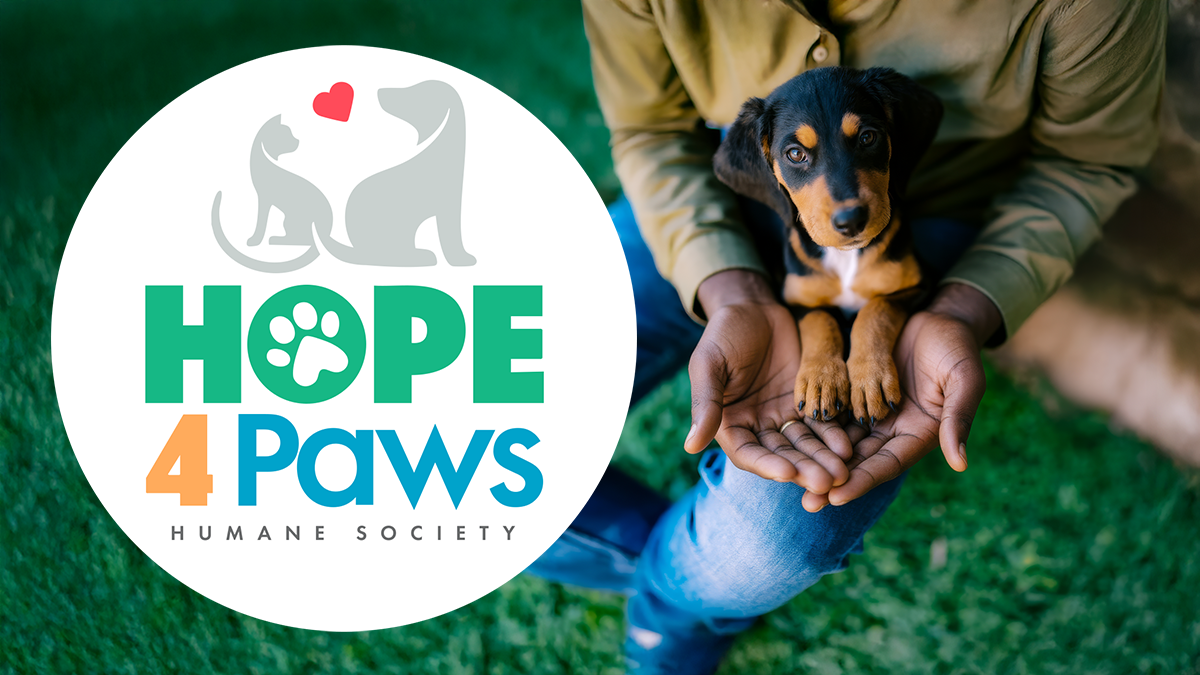 Giving Tuesday