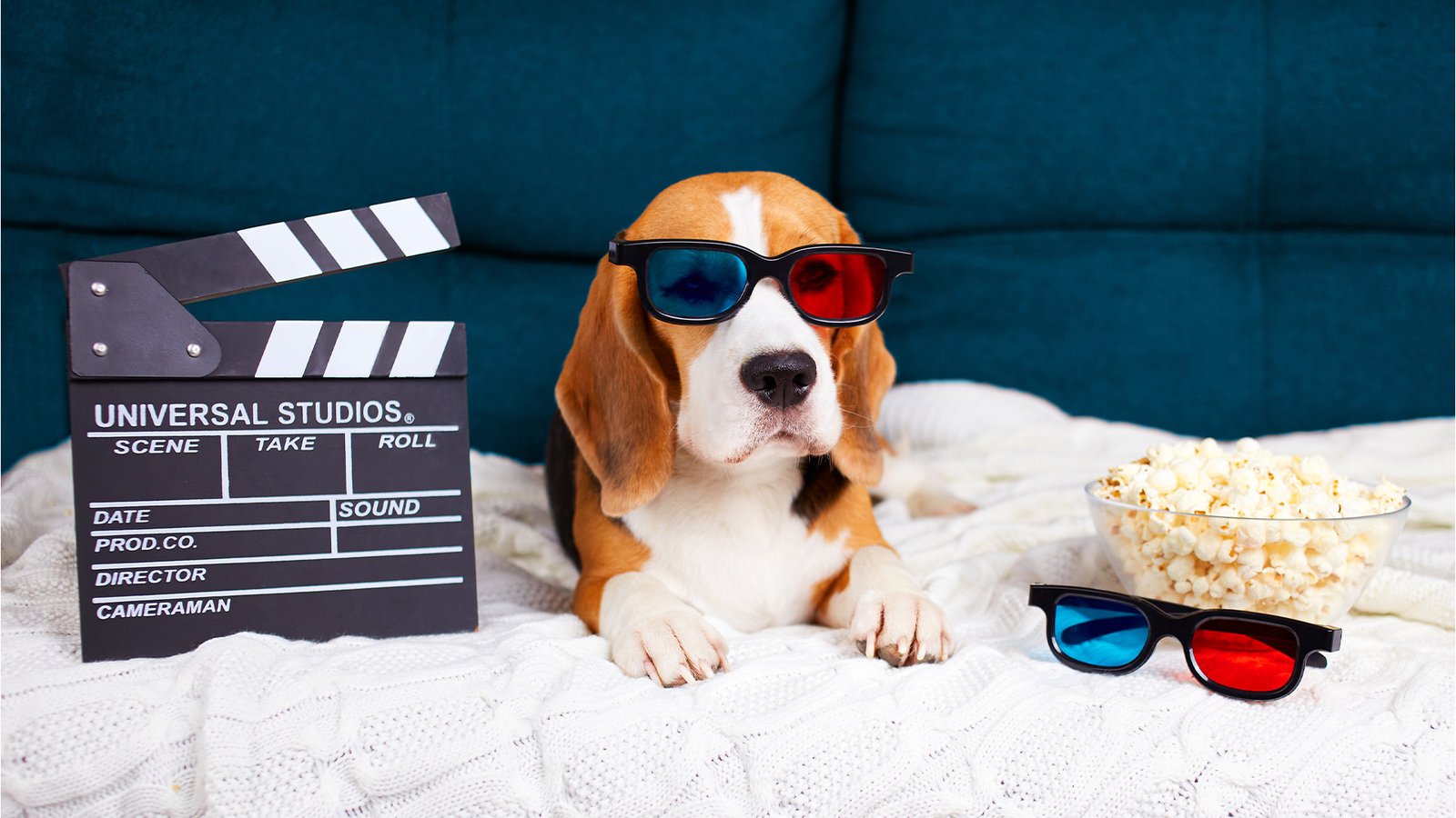 Pet Flix Movie Night (movie at 8pm)