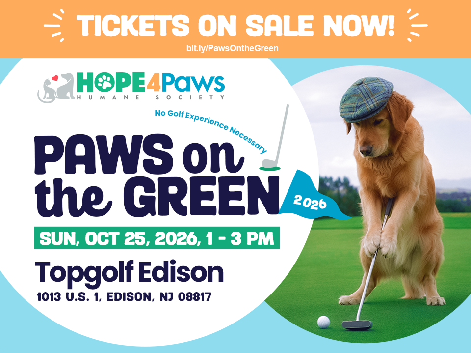 HOPE4Paws Humane Society Paws on the Green Golf Fundraiser. October 25, 2026, 1-3pm. Rain or Shine. Tickets on sale now at: bit.ly/PawsOntheGreen