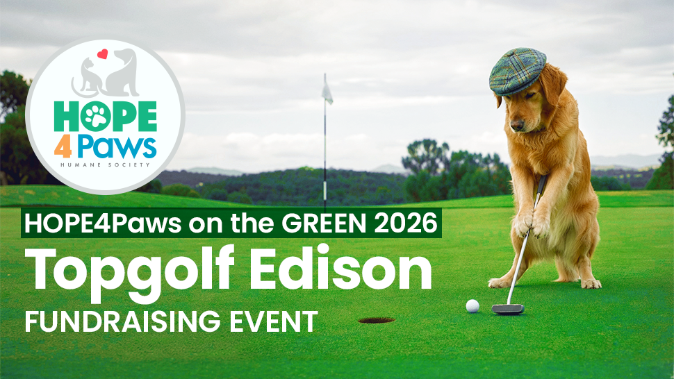 HOPE4Paws on the Green 2026 | Topgolf Edison Fundraising Event